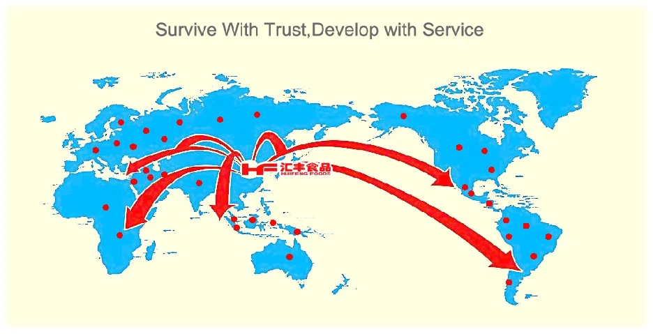 product-936-479 product-936-479