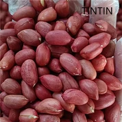 اعلی معیار کی چینی سرخ جلد مونگ پھلی کی گٹھلی